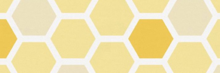 Fatima ☀️ banner