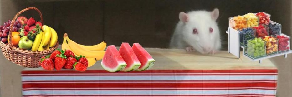 mateusstoppa's profile banner image