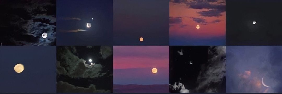 Luisa7033's profile banner image