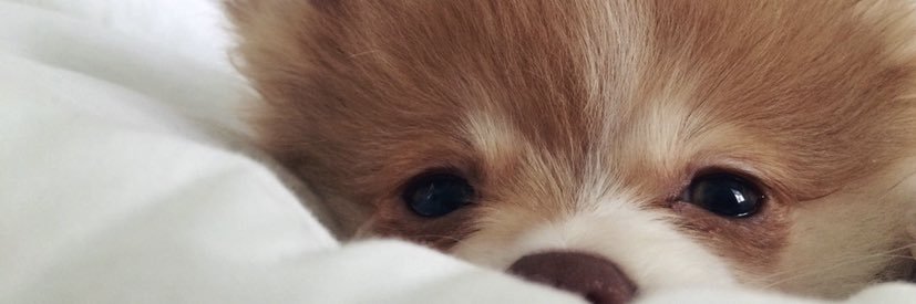 MeggCeee's profile banner image