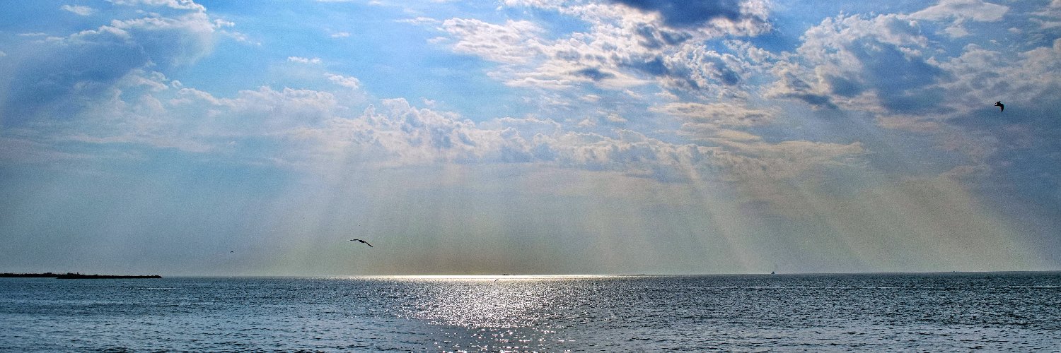 Dayngr's profile banner image