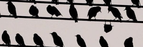 mrbpugh's profile banner image