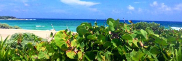 TerriLee_Beamon's profile banner image