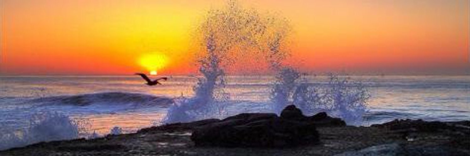 SoCalVicki 🌞 banner