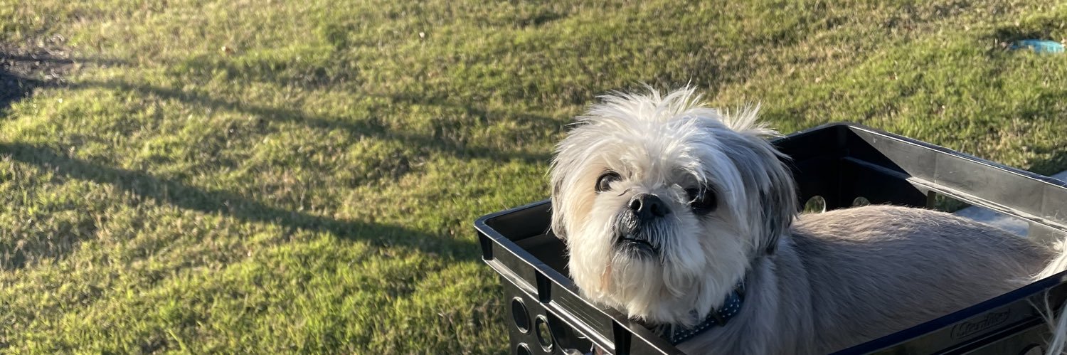 _mindytnguyen's profile banner image