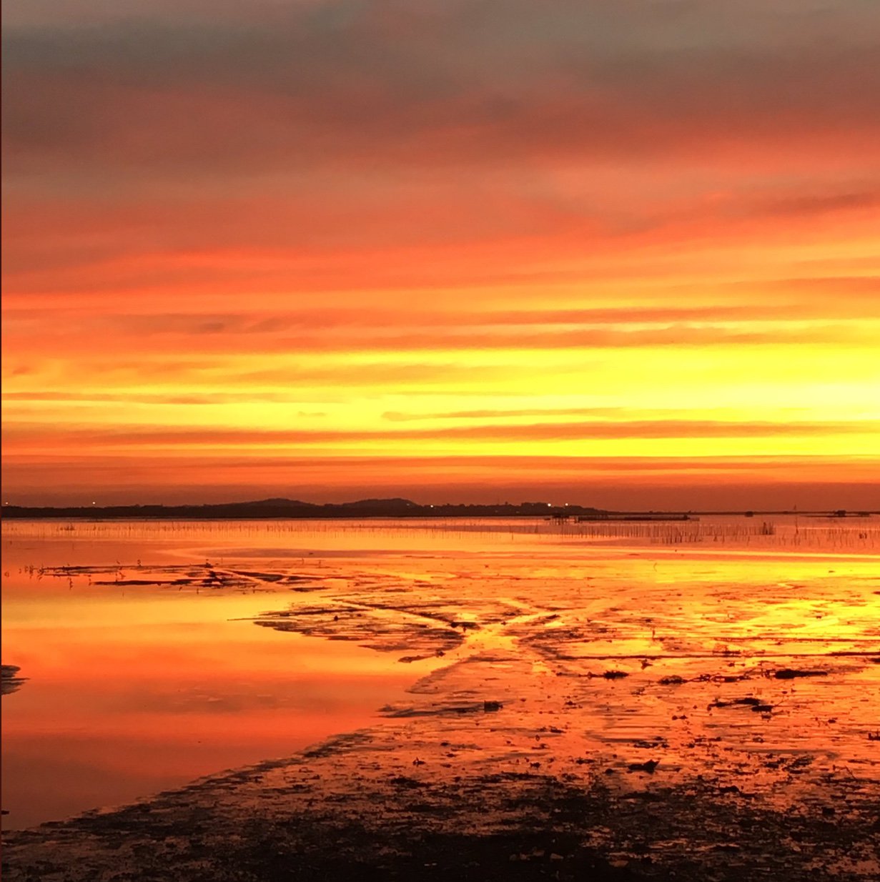 maimeapp's profile banner image