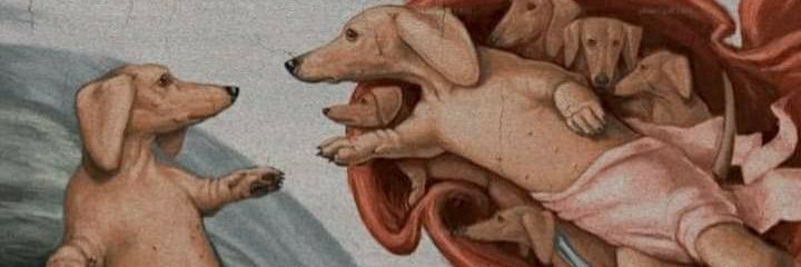 _Crisfuentes_'s profile banner image
