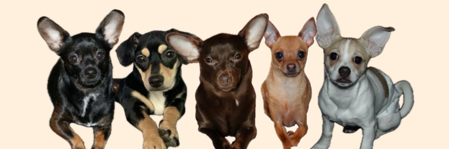 bazdmeg_x's profile banner image