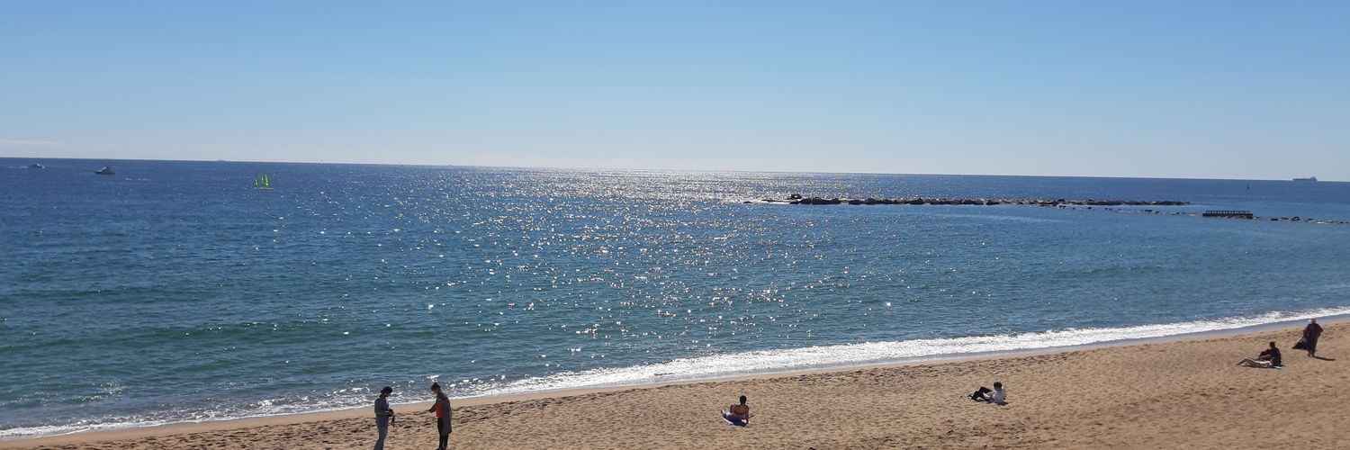 Sarah Bermingham banner