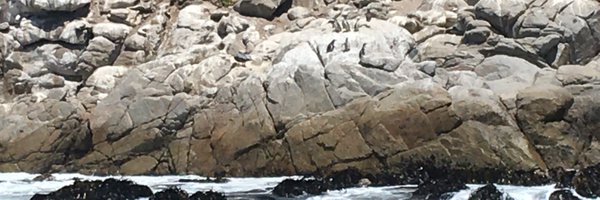 CalistoJaviera Profile Banner