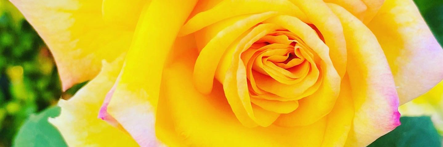 KendallRocca's profile banner image