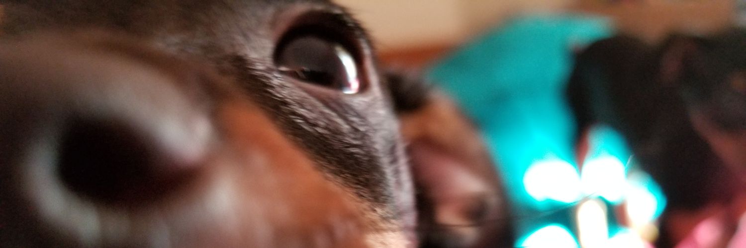 gloriousbritt's profile banner image