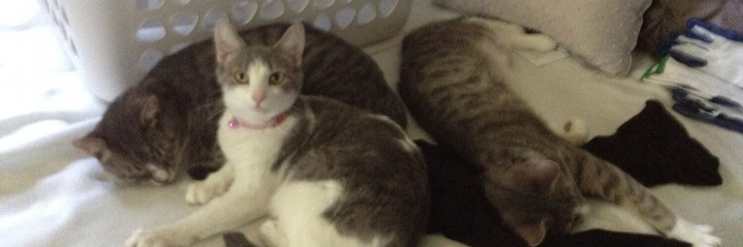 Nate Bowers (nbowers03) / Twitter