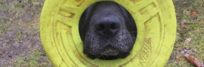 Miller_Lite95's profile banner image