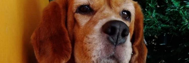 zareth1997's profile banner image
