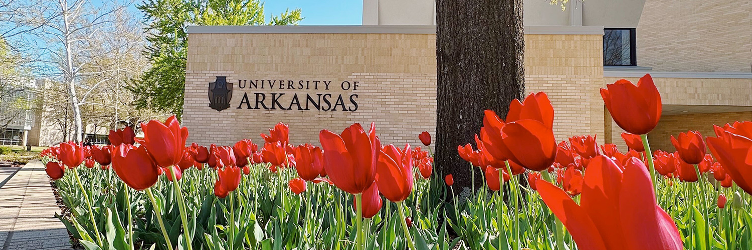 University of Arkansas Profile Banner