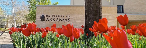 University of Arkansas Profile Banner