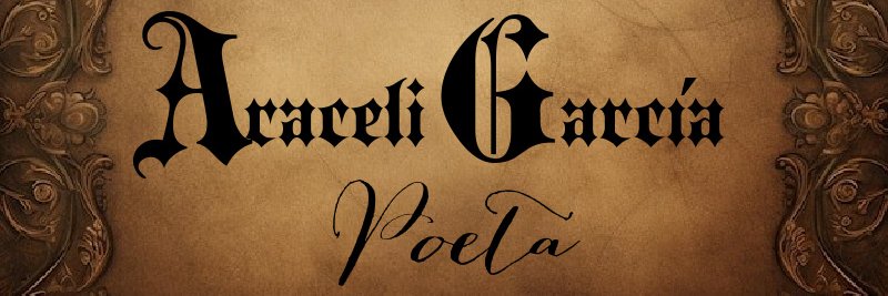 aragarvel's profile banner image