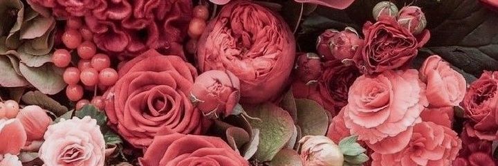 Naty_2495's profile banner image