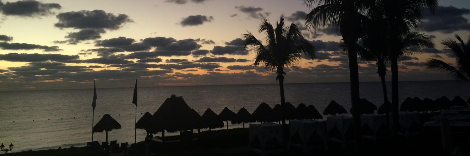 Marcela Selman banner