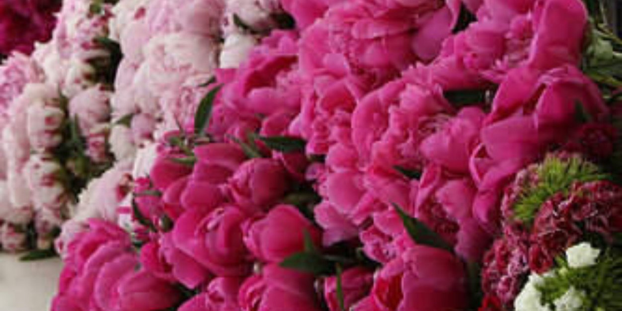 hesahmk's profile banner image