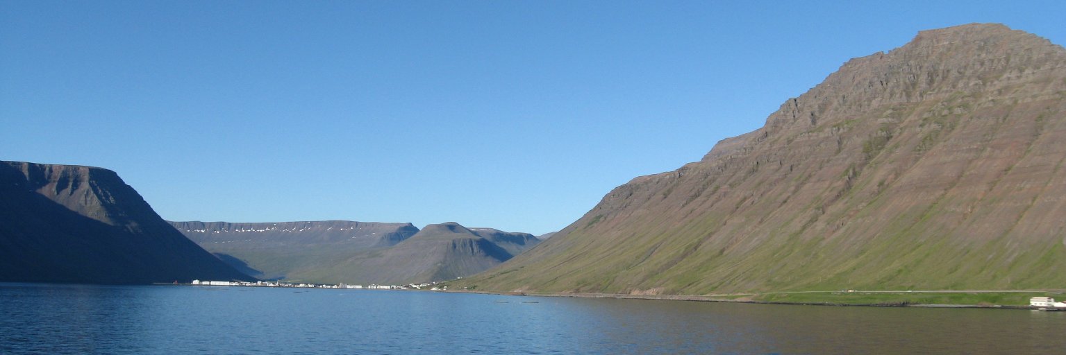jmccumesty's profile banner image