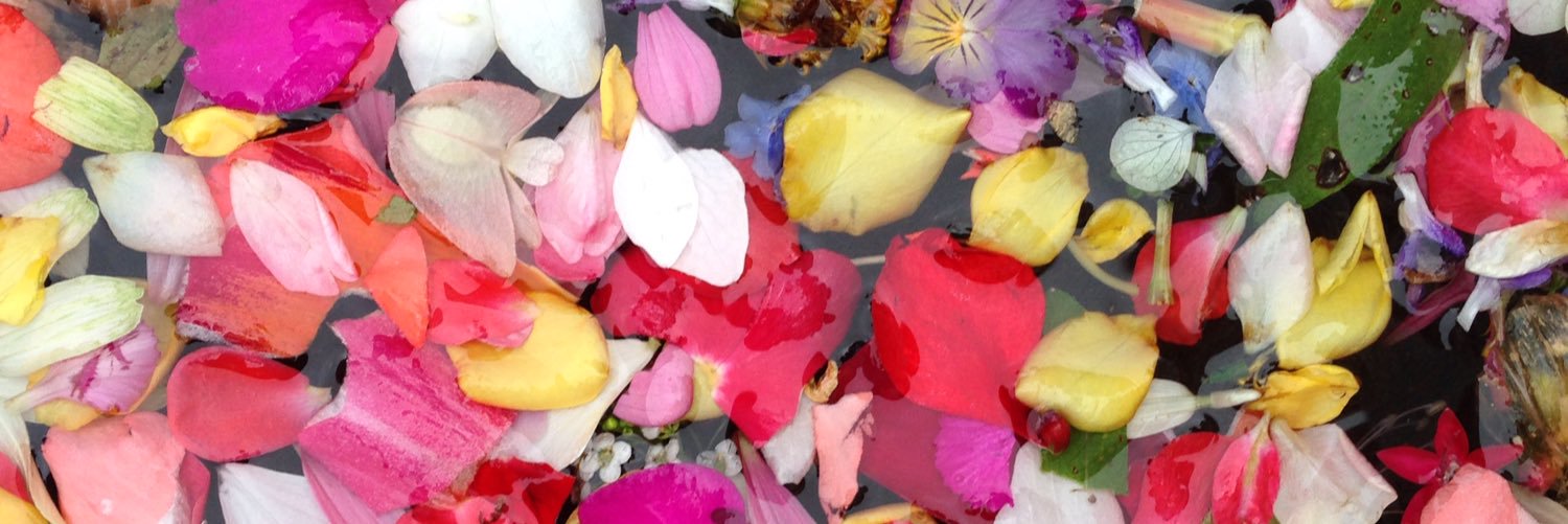 Andrea5325's profile banner image