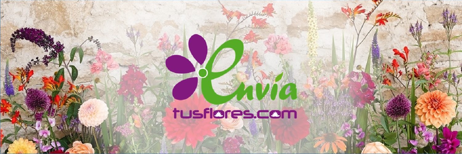 enviatusflores's profile banner image