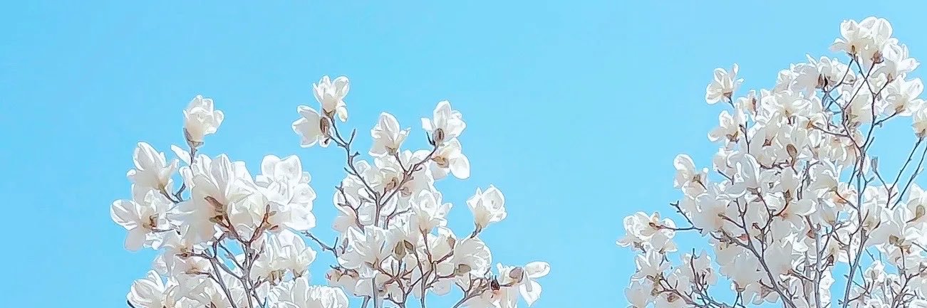 suyabb520's profile banner image