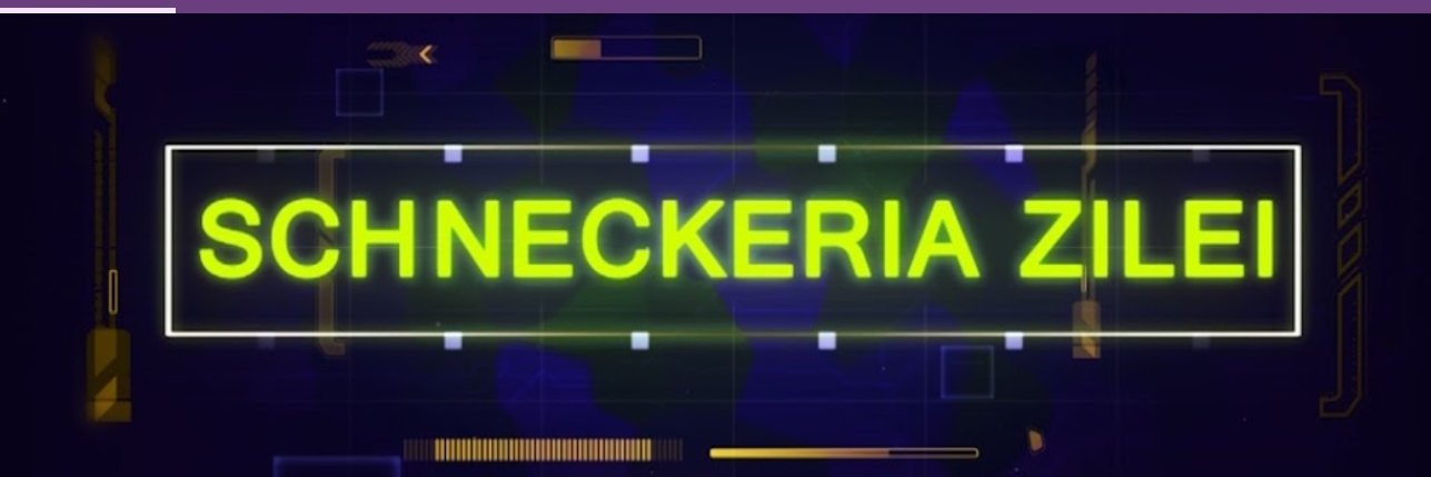 nschnecker's profile banner image