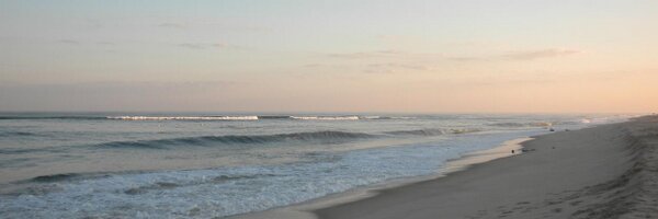 nyseagrant Profile Banner