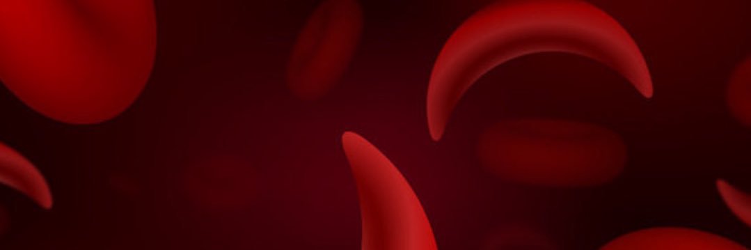 Her Sickled Journey banner