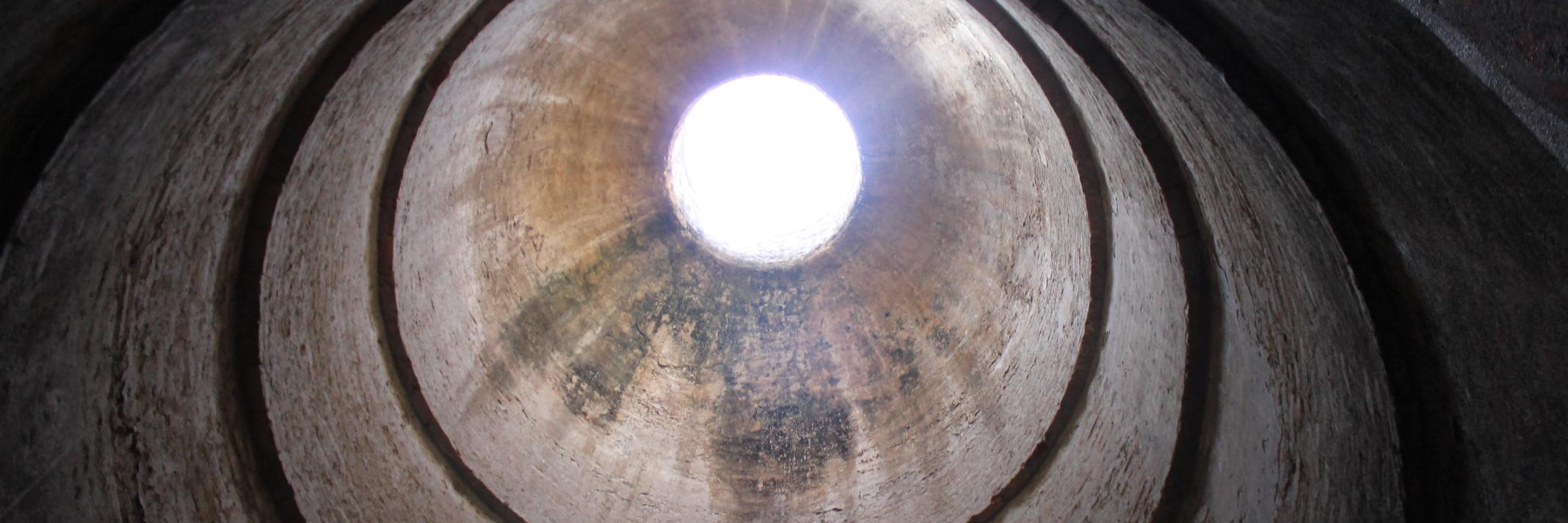 Daniel Benavides banner