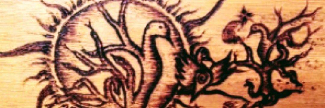 amievval's profile banner image