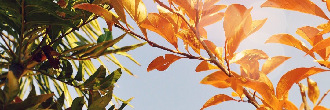 J_Crause's profile banner image