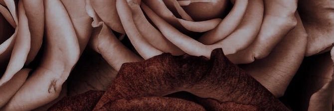 efedefabs's profile banner image