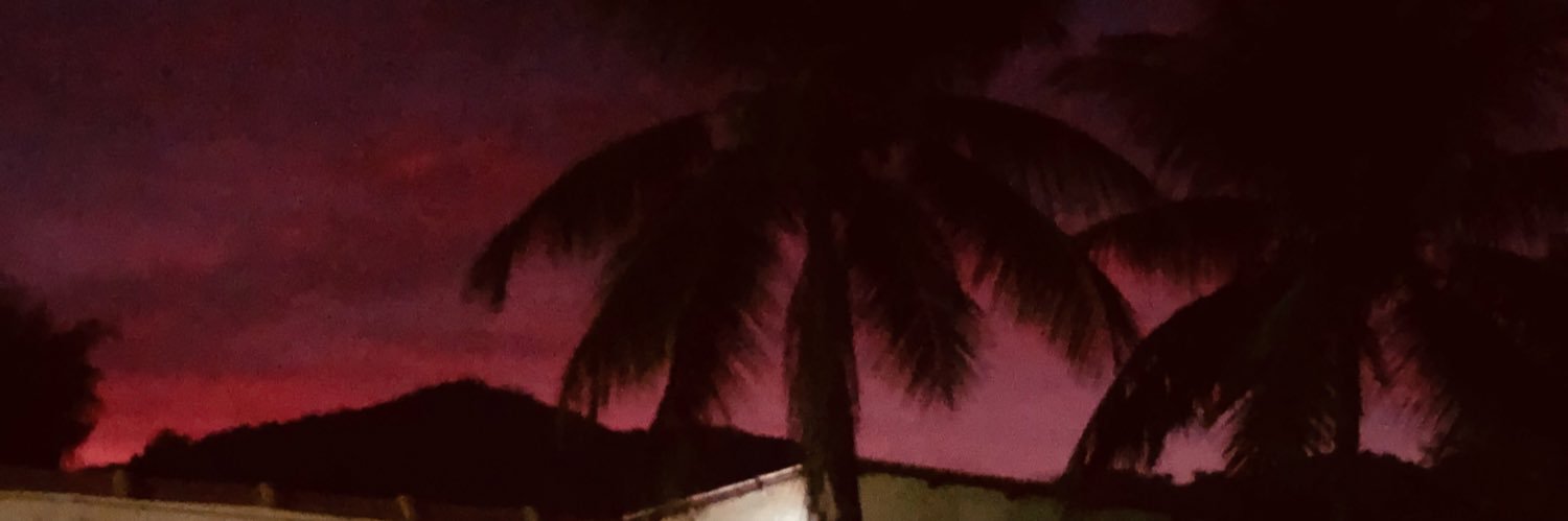 _marinamota's profile banner image