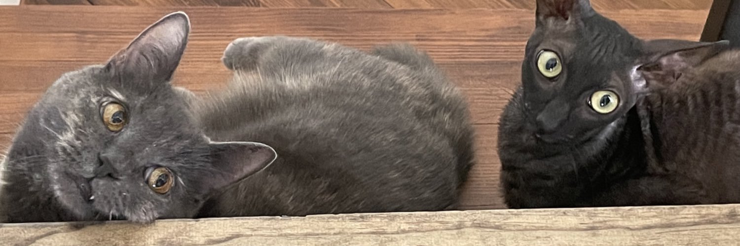 Anna 🖤🐈‍⬛ banner