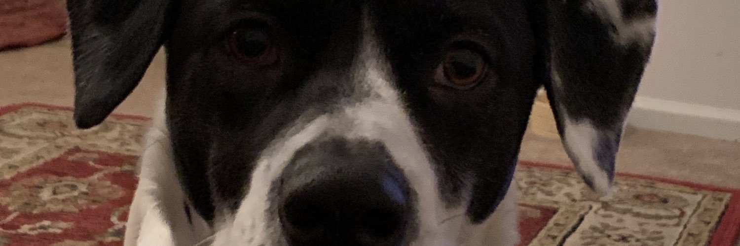 Tnigg21's profile banner image