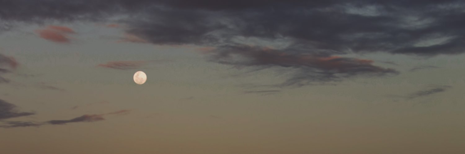 Brandon Wong banner
