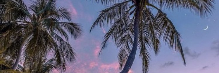 VeraLayton's profile banner image