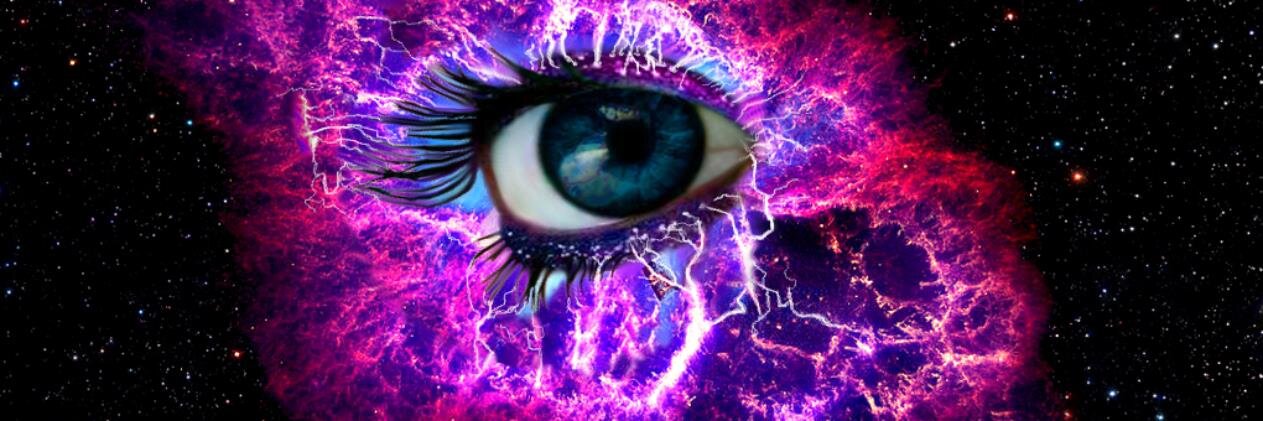 Viable Libertarian banner