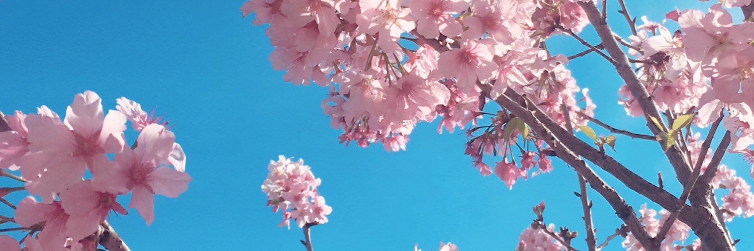 kattiwin's profile banner image