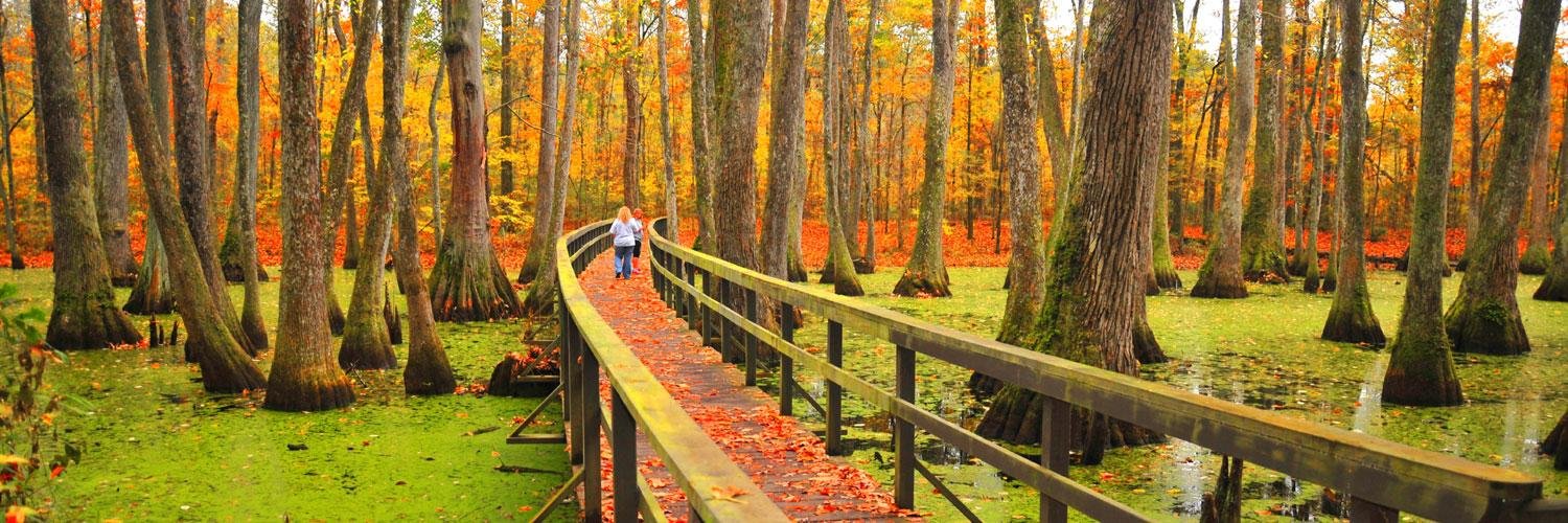 natcheztracebb's profile banner image