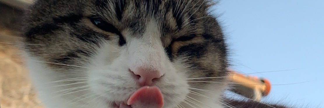 Iliestgz's profile banner image