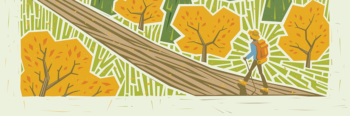 hookemducks's profile banner image