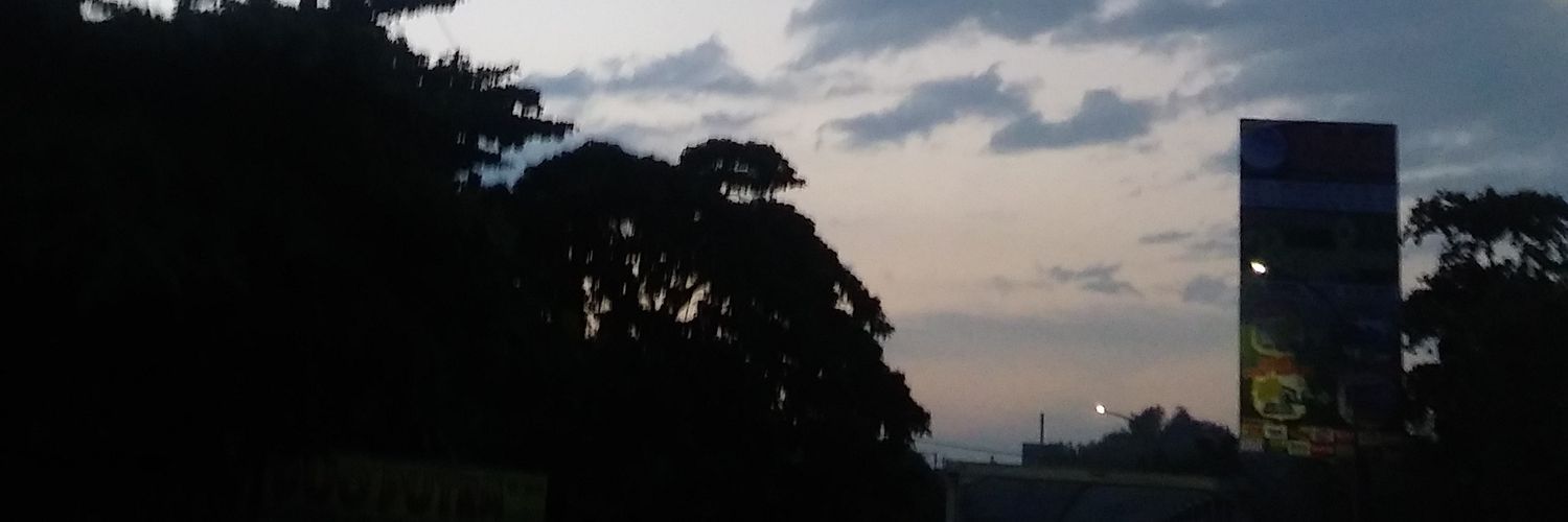 dindinsajida's profile banner image