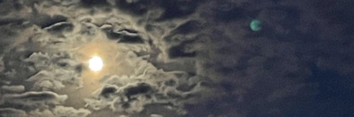 ShlamDoherty's profile banner image