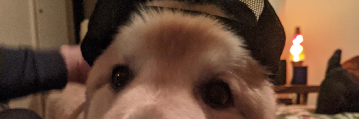 Ryan William Kinney banner