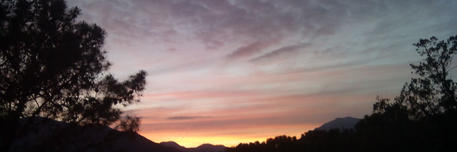 RocioMate's profile banner image